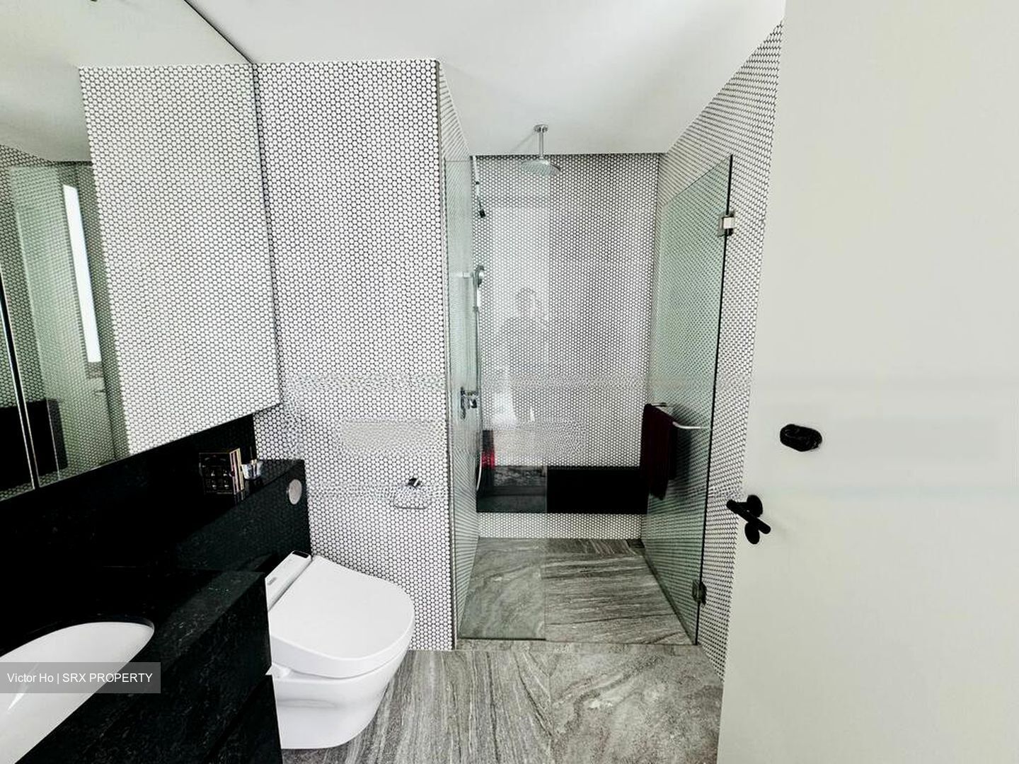 10 Evelyn (D11), Apartment #624952971